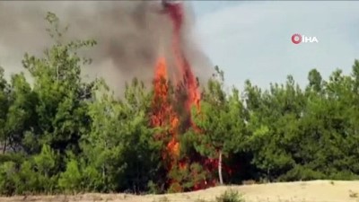  Kahramanmaraş’ın Andırın İlçesindeki orman yangını kontrol altına alındı