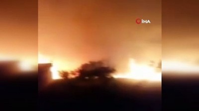  - Suriye’deki orman yangınında ölü sayısı 3'e yükseldi