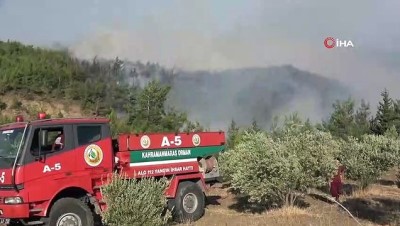  Yerleşim yerlerine ulaşan yangın fabrikaları büyük zarara soktu
