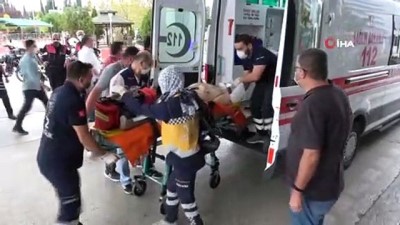 ceviz agaci -  Ceviz ağacından düşen yaşlı adam adam hayatını kaybetti Videosu