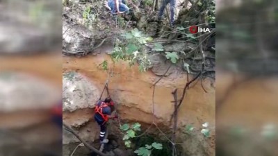  Kuyuya düşen yavru köpeği itfaiye kurtardı