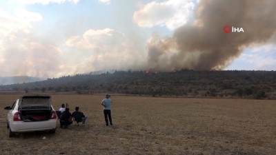 Bolu’da 45 orman yangınında 180 hektar alan zarar gördü