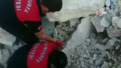  Şanlıurfa’da çöken toprak ve kaya yığınının altında kalan yavru köpek kurtarıldı
