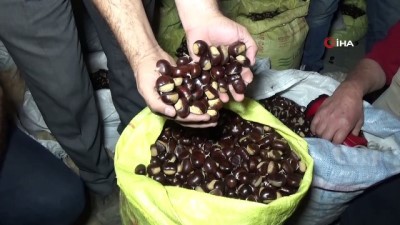 soguk hava deposu -  Türkiye’nin kestane pazarı kebapçılarla dolup taşıyor Videosu