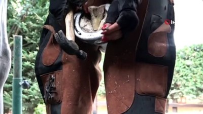  'Türkiye’nin tek kadın nalbantı' ojeli elleriyle atlara nal çakıyor