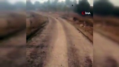 kacis -  Yaban domuzu alevlerin arasından böyle kaçtı Videosu