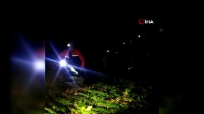 yagmurlu -  - Yürüyüşe çıkan 2 arkadaş dağda mahsur kaldı Videosu