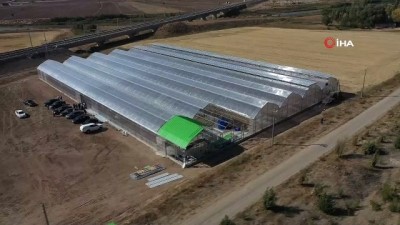  5 dönüm alana sera kurdu, maydanoz yetiştirecek