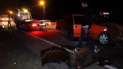 hayvan -  Otomobil sürüye çarptı; 5 koyun telef oldu Videosu