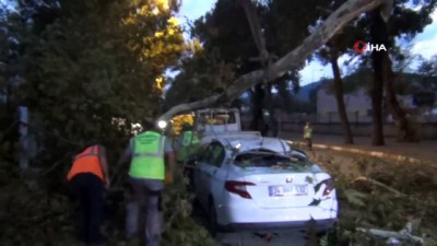  Şiddetli lodos hayatı felç etti...Ağaçlar arabaların üzerine devrildi, dallar kırıldı