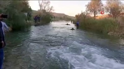 tarim iscisi -  Sakarya nehrine düşen küçük kız hayatını kaybetti Videosu
