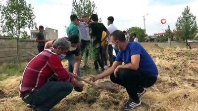  Siverek’te Hatay için hatıra fidanlığı