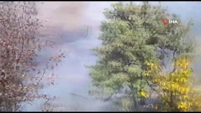 trol -  Tunceli’de iki farkı noktada orman yangını çıktı Videosu