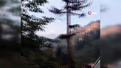  Artvin’in Murgul ilçesinde örtü yangını