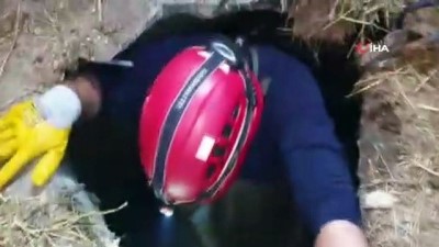 hayvan -  Susurluk'ta kuyuya düşen kuzuyu itfaiye kurtardı Videosu