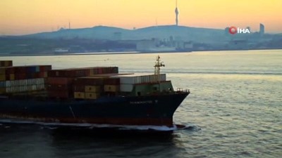 yunuslar -  Yunusların dev gemilerle oyunu Videosu