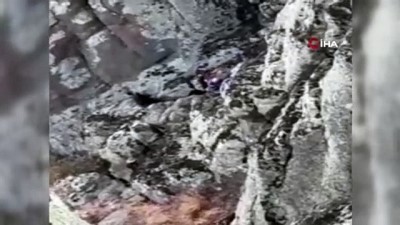 keci -  5 gündür mahsur kalan keçileri AFAD kurtardı Videosu