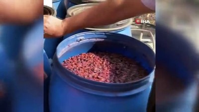 sahte icki -  Adana'da bin 600 litre sahte içki ele geçirildi Videosu