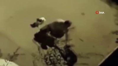  Elindeki boruyla köpeği acımasızca dövdü