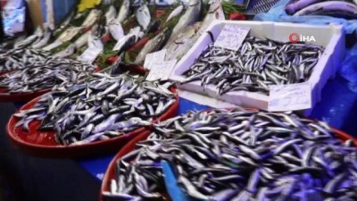 karadeniz -  Korona virüs balık satışlarını da vurdu Videosu