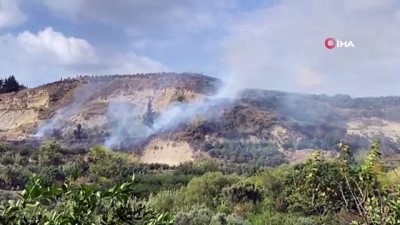 zeytinli -  - Samandağ’da bitki örtüsü yangını Videosu