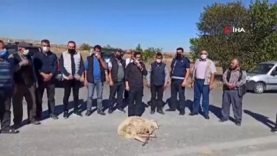 olumlu -  Yeni kazalar yaşanmasın diye kurban kesip dua ettiler Videosu