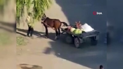  Yorgun düşen ata gitmesi için şiddet uyguladı