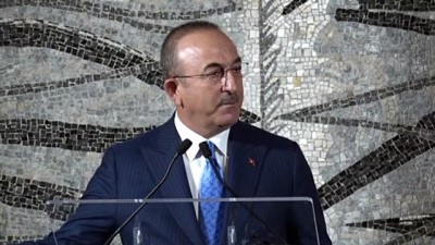 Çavuşoğlu: 'Bu sorunun çözülmesi Ermenistan'ın lehine olur' - ROMA