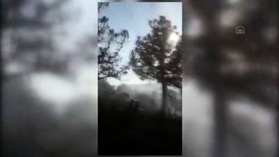 ormanli - Orman yangınında 5 hektar alan zarar gördü - KASTAMONU Videosu