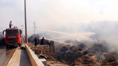 Pelet fabrikasında çıkan yangına müdahale ediliyor (3) - HATAY