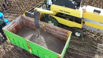 tarim arazisi -  Sivas’ta ay çekirdeği üretimi 6 kat arttı Videosu