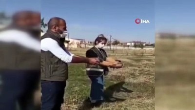  Tedavileri tamamlanan kuşlar yeniden özgür