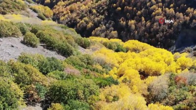  Erzincan’da sonbaharda renk cümbüşü