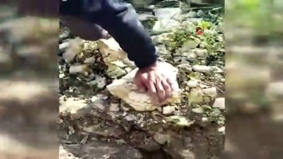 guvenlik gorevlisi -  Çukura düşen kaplumbağaları kurtarmak için seferber oldular Videosu