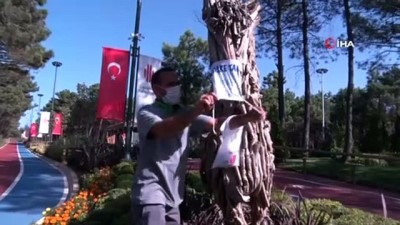 salar -  Farkındalık için hayvan figürlerine maske Videosu