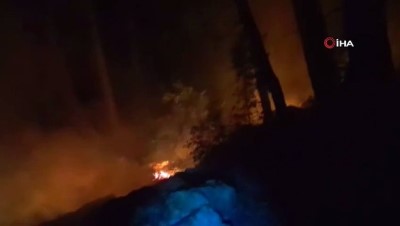 cay demleme -  Manavgat'ta ormanlık alanda yangın Videosu