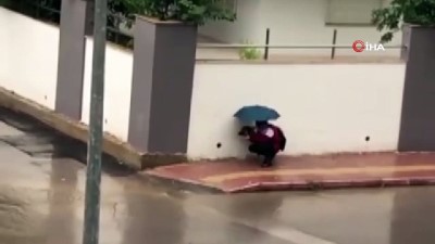 sokak kopegi -  Sağanak yağmur altında iç ısıtan anlar Videosu