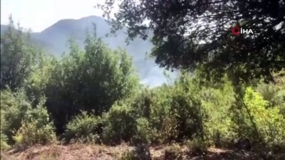 orman yangini -  Adana'da orman yangını Videosu
