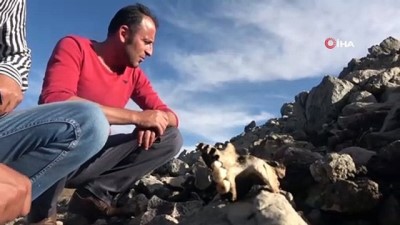  Sular çekilince ortaya çıktı, görüntüsü tüyler ürpertiyor