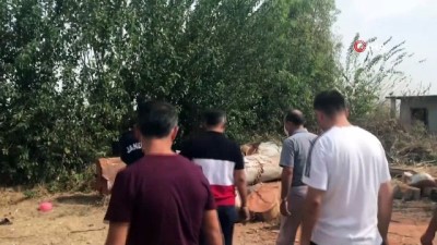  Ceyhan'da ağaç kesme kavgası: 2 ölü 4 yaralı