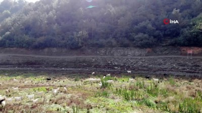 sonbahar -  Alibeyköy barajında korkutan görüntü Videosu