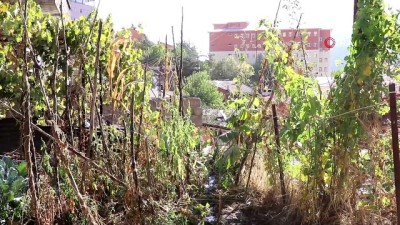 multeci -  Gümüşhane’de Afgan mültecilerin kaldığı evde yangın Videosu