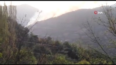  Adana'daki orman yangınına müdahale sürüyor