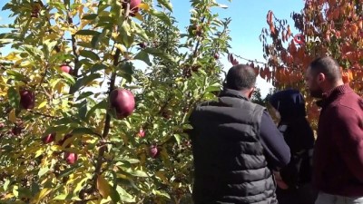  - DAP ve DAKA’dan Bitlis’teki elma yetiştiricilerine yüzde 50 destek