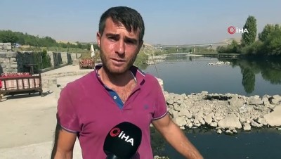 irak -  Dicle Nehrinde tehlikeli görüntü, telef olan balıklar kıyıya vurdu Videosu