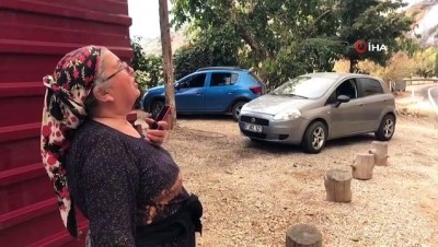 orman yanginlari -  Mersin'deki yangında ev ve seralar da zarar gördü Videosu