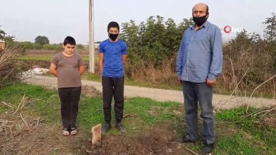 yavru kopekler -  Bursa’da yumurtasını çalan yavru köpeği pompalı tüfekle vurarak öldürdü Videosu