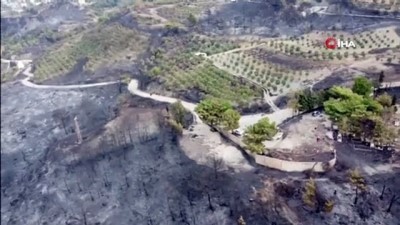 demirli -  Hatay'da yangının ardından geriye bu görüntüler kaldı Videosu