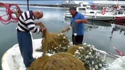 balik sezonu -  Kıyı balıkçıları, balık çeşitlerinin yok olmasından şikayetçi Videosu