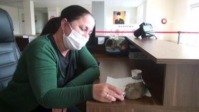 yagmurlu -  Menteşe Kaymakamlığı’nın ‘Paşa’sı Videosu